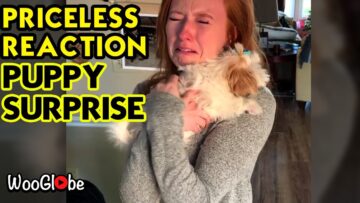 Unbelievable Reaction To Surprise Puppy