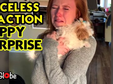 Unbelievable Reaction To Surprise Puppy