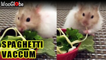 Warning-Hide-Your-Spaghetti-Now-You-Wont-Believe-What-This.jpg