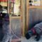 Dog’s Coffee Shop Treats Adventure | Adorable