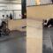 Epic BMX Faceplant: When Stunts Go Wrong! | Try Not to Laugh!