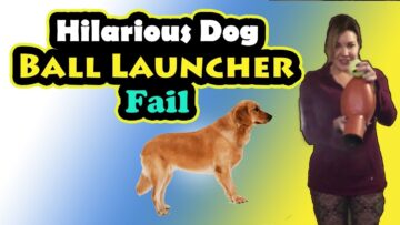 Epic-Dog-Ball-Launcher-Gone-Wrong-Laugh-Out-Loud.jpg