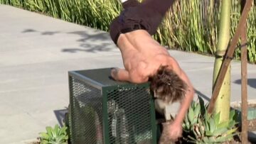 Epic-Skateboard-Fail-Watch-This-Wild-Trick-Go-Hilariously-Wrong.jpg