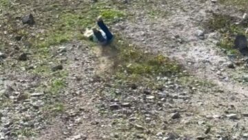 Hilarious-Faceplant-Woman-Takes-a-Tumble-Racing-Downhill-Try.jpg