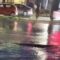 Jeep vs. Pothole: A Rainy Day Fail that Will Leave You in Splits! | Try Not to Laugh