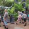 T-Rex Sneaks into Family Photos, Chaos Ensues! | Try Not to Laugh