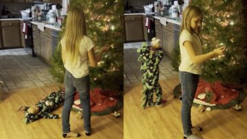 Toddlers-Hilarious-Holiday-Mishap-Christmas-Tree-Decorating-Gone-Wild.jpg