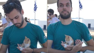 Watch-Adorable-Kitten-Drift-off-to-Sleep-in-Mans-Embrace.jpg