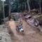 Watch This BMX Guru Faceplant into Fun—You Won’t Believe the Epic Fail! | Try Not to Laugh!