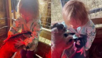 Watch-a-Sweet-Little-Girl-Bond-with-Baby-Goats.jpg