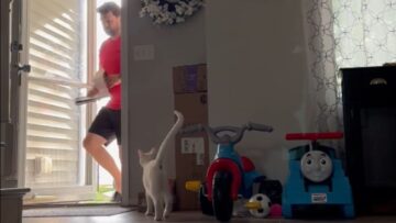quotWatch-This-Wifes-Epic-Prank-Fail-on-Husband-Try-Not.jpg