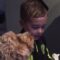 Adorable Dogpatiently Waits Her Turn While Owners Brush the Child’s Hair | Heartwarming