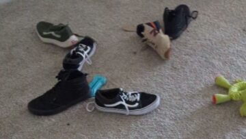 Adorable-dog-plays-hiding-game-after-bedroom-mess-Super.jpg