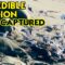 Amazing Sea Lion Welcomes Newborn Pup in Heartwarming Moment! | Heartsome