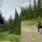 BMX Rider Flips, Flops, and Finally Nabs a Backflip Victory! | Try Not to Laugh