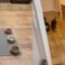 Cat cutely says ‘Hi’ and ‘Hello’ in search of owner | Super cute 🐱