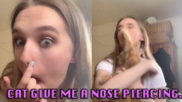 Cats-Hilarious-Nose-Piercing-Surprise-An-Ouchy-Gift-for-Its.jpg