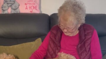 Charming-Dog-Joins-Grandma-for-a-Sweet-Sing-Along-That-Will.jpg