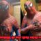 Charming Spiderman Adventure: A Joyful Journey of a Big Heart | Heartwarming
