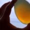 Couple’s Gardening Adventure Unearths a Stunning Crystal Treasure | Heartwarming