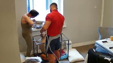 Couples-Heroic-Effort-Brings-New-Life-to-Adorable-French-Bulldog.jpg