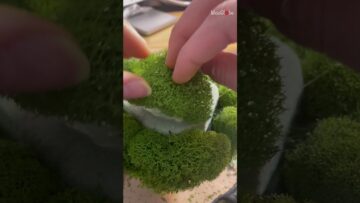DIY-Fashion-Ring-Holder-Parody-of-5-Minute-Crafts.jpg