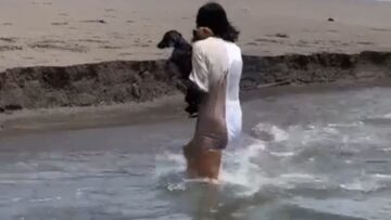 Dachshund-pups-daring-swim-to-save-owner-Almost-swept.jpg