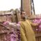 Dad’s Priceless Reaction to Baby #2’s Gender Reveal! Try Not to Laugh | Viral Prank