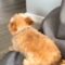 Dog’s Heartwarming Welcome Home Happy Dance | Super Cute