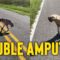 Double Amputee Dog’s Joyful Morning Walk, Inspiring Love and Resilience | Heartsome