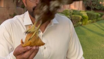 Eagle-vs-Samosa-Whos-the-Fastest-Snack-Thief-Try.jpg