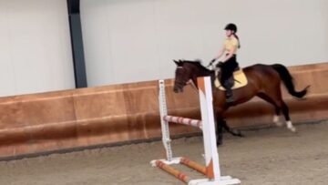 Epic-Equestrian-Oops-Riders-Hilarious-Fall-While-Jumping-a-Fence.jpg