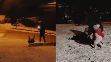 Epic-Snow-Sledding-Fails-That-Will-Leave-You-in-Stitches.jpg