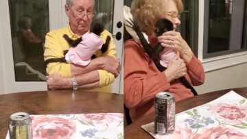 First-Meeting-Little-Monkey-Adorable-Bonding-with-Human-Grandparents.jpg