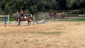 From-Horseback-Hilarity-to-Epic-Fails-Watch-Her-Day-Go.jpg