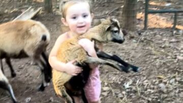 Girls-heartwarming-bond-with-baby-sheep-Adorable.jpg