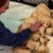 Golden Retriever Puppies Napping Blissfully | Adorable