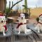 Golden Retrievers in Santa Costumes Spread Holiday Cheer | Adorable
