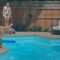 Golden retriever’s adorable pool swims with owner | Cute