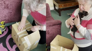 Grandmas-heartwarming-reaction-to-surprise-kittens-Super-Cute.jpg