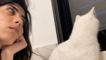 Grumpy-Cats-Hilarious-Revenge-When-Mom-Teases-with-Air.jpg