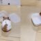 Hamster’s Lightning Fast Airtight Container Hack | Cutest Reveal Ever! 🐹