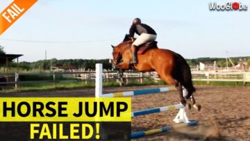 Horse-Takes-a-Tumble-Then-Shocking-Discovery-Leaves-Owner-Speechless.jpg