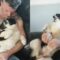 Jealous Dog vs. Spoiled Cat | Cute