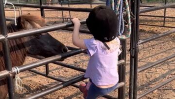 Joyful-Moments-Little-Girls-Heartwarming-Journey-to-Halter-a-Pony.jpg