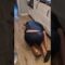 Kitchen Chaos: Wife’s Epic Scream Sends Husband Tumbling! | Try Not to Laugh!