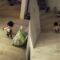 Laugh out loud with this hilarious Toy Poodle in a silly outfit | Adorable