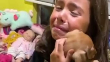 Little-Girls-Joyful-Reaction-to-Surprise-Puppy-Gift-Will-Melt.jpg
