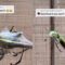 Man Shares a Special Meal with His Banana Spider: A Tender Moment in Nature’s Care | Heartwarming