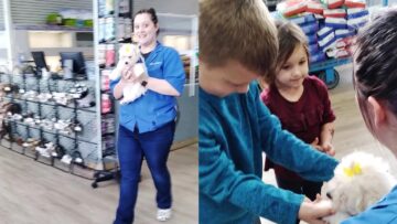 Moms-Surprise-Kids-Reaction-to-Adorable-Puppy-Super-Cute.jpg